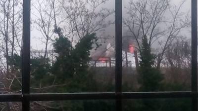 Incêndio em zoo de Inglaterra obriga à retirada de animais e visitantes