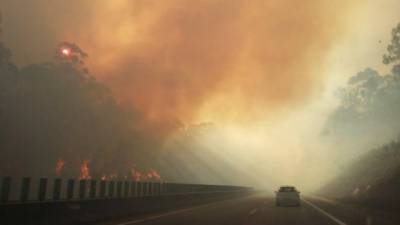 Incêndios A1 a A25 cortadas devido a fogo em Albergaria-a-Velha