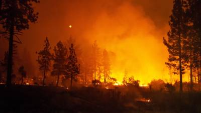 Incêndios na Califórnia já provocaram oito mortos e destruíram 93 mil hectares