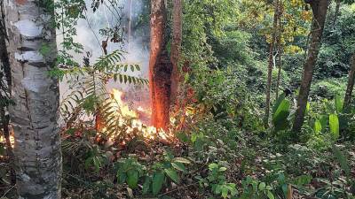 Incêndios no Árctico são igualmente preocupantes