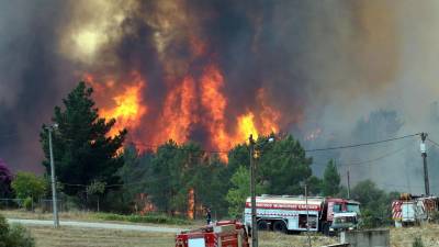 Incêndios: População de Vergão em Proença-a-Nova está assustada e preparada para o pior
