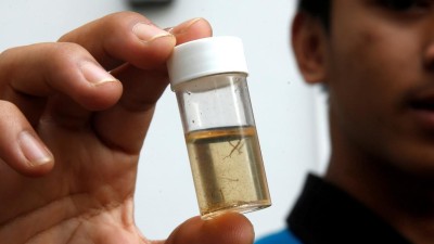 Infecção pelo vírus Zika e Ébola vão passar a ser doenças de notificação obrigatória