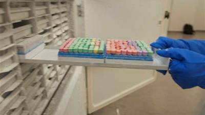 Investigadores chineses descobrem proteínas chave associadas ao cancro no pulmão