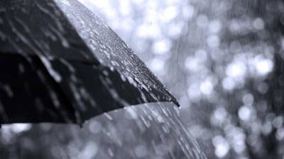 Investigadores defendem medidas urgentes para captar água das chuvas