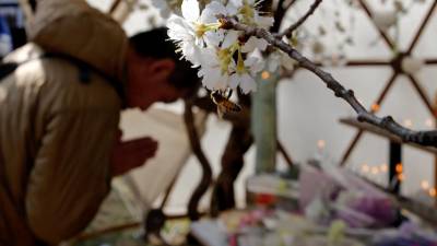 Japão assinala sétimo aniversário de tsunami que matou mais de 18 mil pessoas