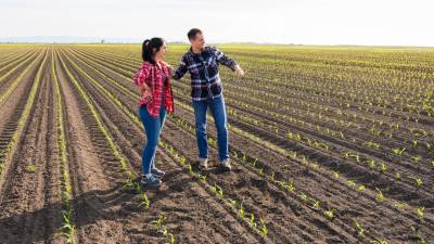 Jovens agricultores podem candidatar-se até Setembro a ajudas no valor global de 2 ME