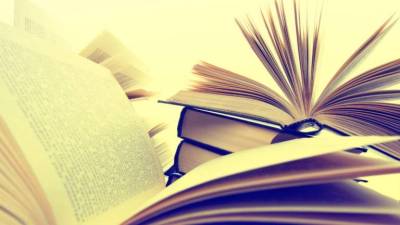 Livro sobre brinquedos com texto do português João Amado integra programa nacional do Brasil