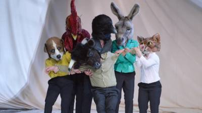 Machico promove Espectáculo ‘Bichos’