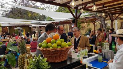 Madeira precisa de mais cana-de-açúcar para aumentar produção de Rum