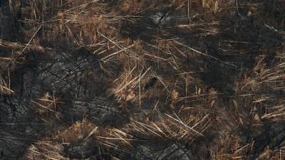 Maduro responsabiliza Bolsonaro pelos incêndios na Amazónia