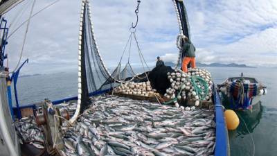 Maior exportador de Cabo Verde prevê aumentar produção em 20% em 2020