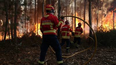 Mais de 2.300 operacionais e 24 meios aéreos combatem fogos hoje à tarde