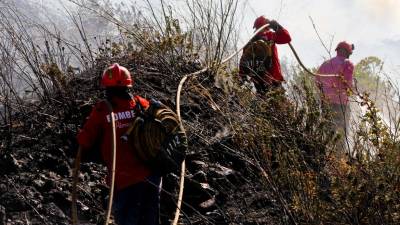 Mais de 23.000 hectares arderam nos primeiros sete meses do ano
