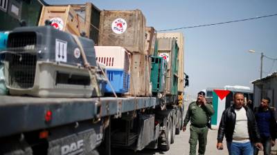 Mais de 40 animais retirados de zoo na Faixa de Gaza devido a más condições