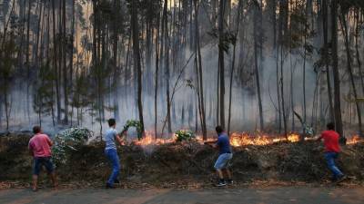 Mais de 40 pessoas retiradas das suas habitações em Albergaria-a-Velha