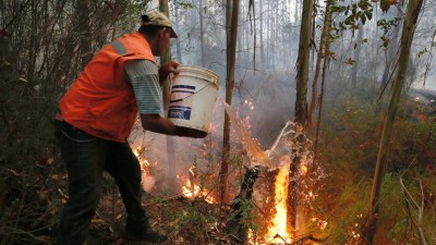 Mais de 9.000 pessoas combatem incêndios florestais no Chile