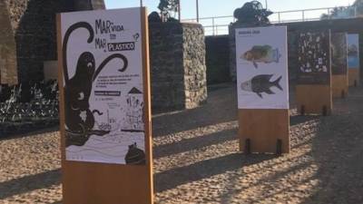 ‘Mar de Vida ou... Mar de Plástico?’ em exposição no Clube Naval