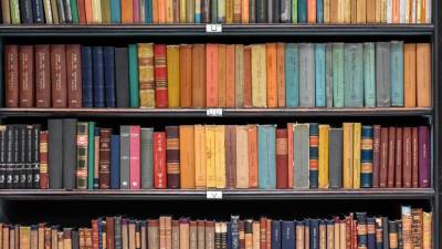 Margaret Atwood, Rushdie e Oyinkan Braithwaite nomeados para prémio Booker