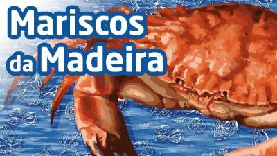 ‘Mariscos da Madeira’ em conferência na noite de sábado na Estação de Biologia Marinha
