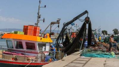 Ministros debatem hoje possibilidades de pesca para 2019