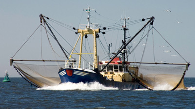 Ministros europeus das pescas decidem capturas em águas profundas