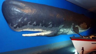 Museu da Baleia com dia aberto