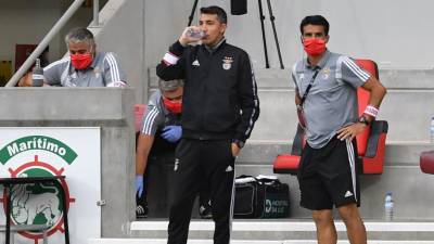 Nelson Veríssimo orientou treino do Benfica após saída de Bruno Lage