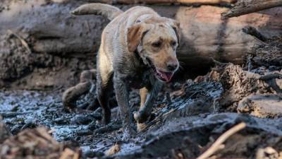 Número de mortos em deslizamentos de terra na Califórnia sobe para 18