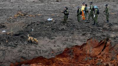 Número de mortos sobe para 99 em desastre de Brumadinho