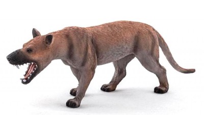 Nova espécie de carnívoro extinto descoberta em fósseis egípcios