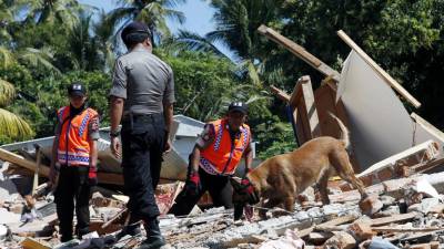 Novo balanço aponta para 164 mortos após sismo na Indonésia
