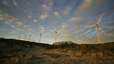 OIT prevê 24 milhões de empregos criados até 2030 na economia verde