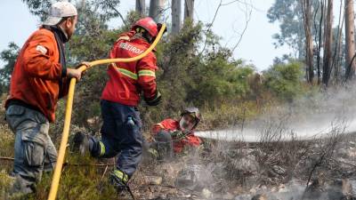 Oito meios aéreos e 200 bombeiros combatem fogo em Castelo Branco