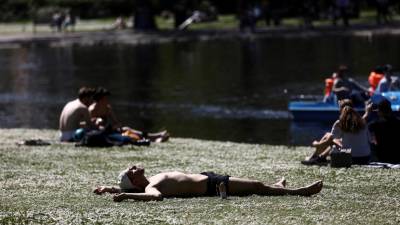 Onda de calor na Europa provoca infestação de lagartas do pinheiro