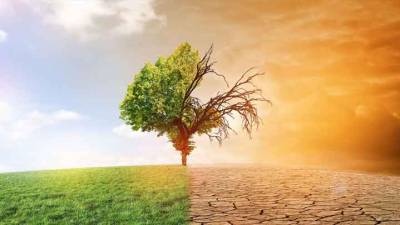 ONU quer mudanças na dieta e no uso dos solos para travar alterações climáticas