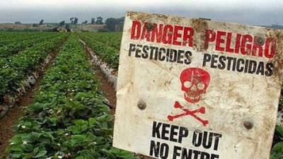 Parlamento Europeu cria comissão especial sobre pesticidas e herbicidas