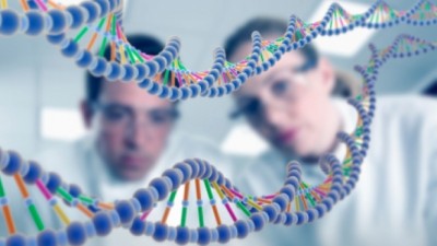 Pelo menos 6.500 genes funcionam de forma diferente em homens e mulheres