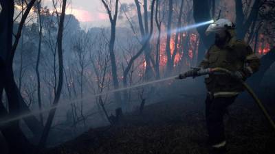 Pelo menos três mortos em mais de 70 incêndios florestais activos