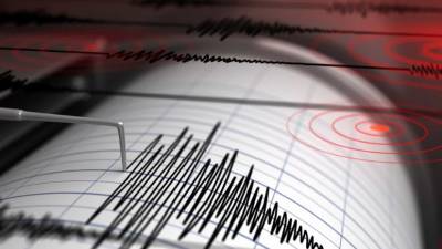 Pelo menos um morto e 45 feridos no Irão após sismo de magnitude 5,7