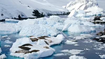 Península antártica arrefeceu significativamente na última década