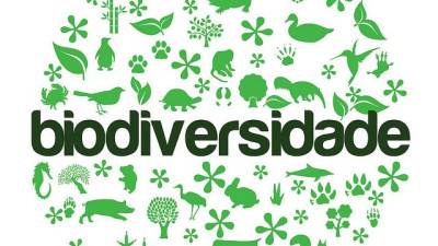 Perda de biodiversidade aumenta risco de extinções em série