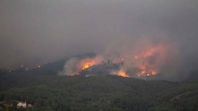 PJ detém suspeito de atear um fogo em Castelo Branco