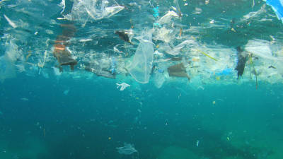 Plástico já pode ter chegado ao ponto mais profundo dos oceanos
