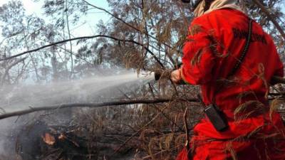 Época mais crítica dos incêndios termina na segunda-feira
