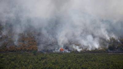 Polícia indonésia detém 185 pessoas suspeitas de provocar incêndios no país
