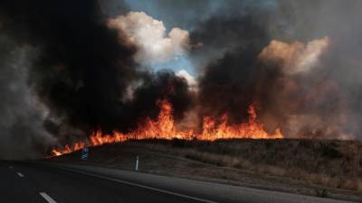Portugal com menos 8.719 hectares de área ardida do que em 2018
