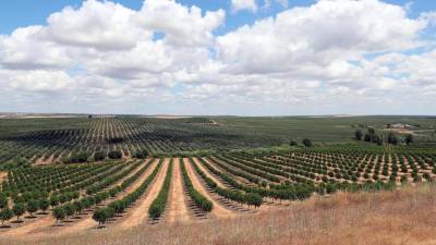 Portugal tem novo instrumento financeiro para apoiar agricultores