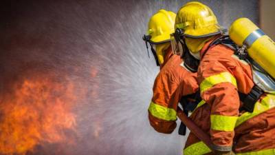 Protecção Civil alerta para risco de fogo devido ao tempo quente e seco