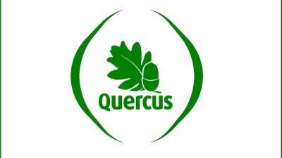 Quercus quer 500 milhões para ajudar famílias a instalar painéis solares