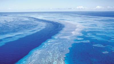 Áreas dos oceanos com água sem oxigénio aumentaram quatro vezes em 50 anos